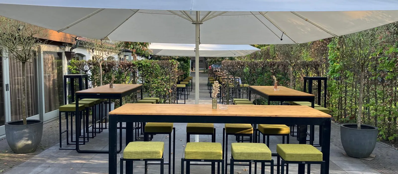 1771321561-Terras 1